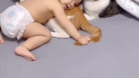 Kid love playing with cats