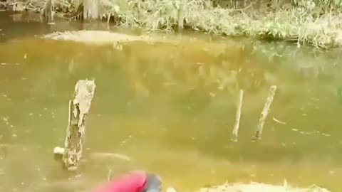 Funny Fishing Compilation