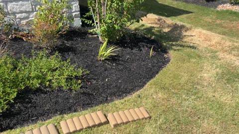 Stop Adding Mulch - DYE IT!