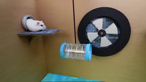 Hamster Escapes the Awesome 5-Star Luxury Prison Maze with Bathtub for Pets in real life