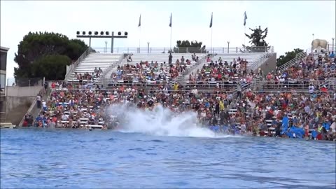 Shamu Show at Sea World San Diego July 2013 HD