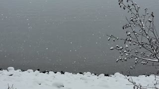 Snowing at Lake Coeur d'Alene