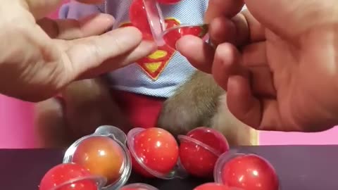 Monkey Eats Red Strawberry Candy