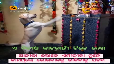 #New shri ganesh song #Statua Wathsapp#videos