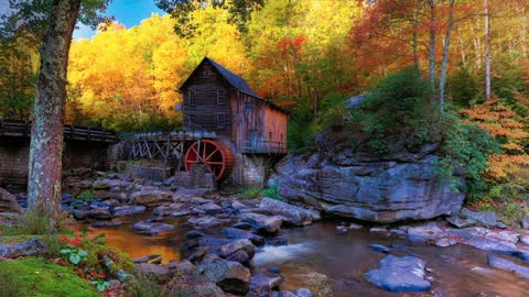 Creek Forest Autumn Water Wheel House Bar