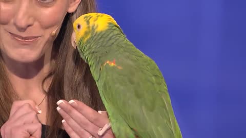 Echo the talking bird from Animal Gardens - America's Got Talent Audition - Season 6