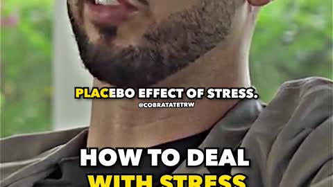 Andrew Tate on how to handle stress better