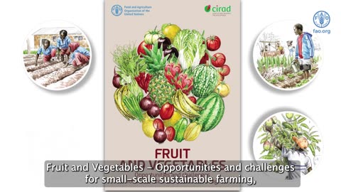 Opportunities and challenges for small-scale sustainable farming