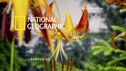 Earth 101 _ National Geographic