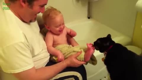 Babies Laughing at Cats