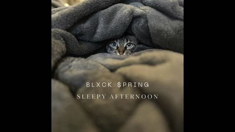 Blxck $pring - Sleepy Afternoon