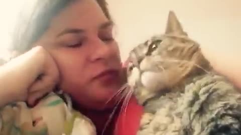 Talking Cat says NO to kisses on the the head