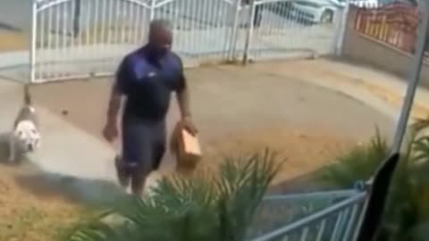 dog barks at mailman