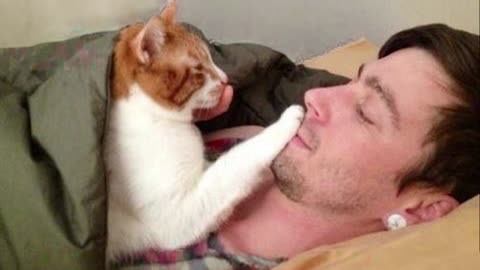 “Forget the Alarm Clock: Hilarious Cats and Their Human Antics!”