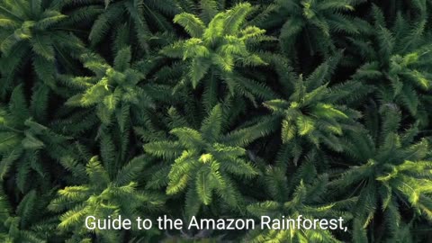 A tour to Amazon Forest.