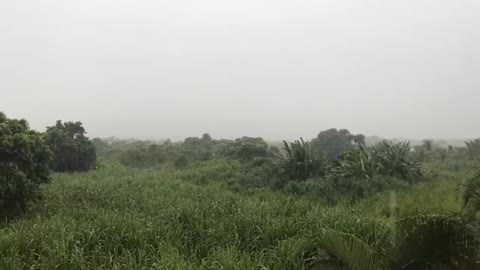 HURRICANE WIND SOUNDS WITH LIGHT RAIN FOR SLEEPING