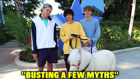 BUSTING 1,000 MYTHS IN 24 HOURS!