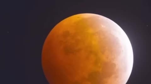 Moon Eclipse