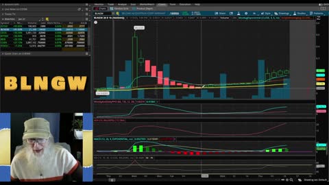 Charting for Dollars $$ Zidar On Top & Hot Penny Stocks BERI~BLNGW~BYTSW~CEOS~CUEN~EVTGF~FOXO/WS