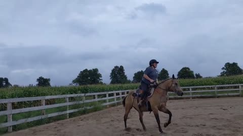 Clay working on his canter