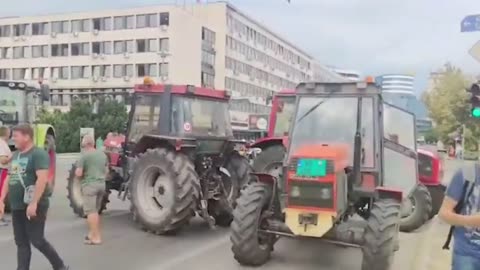 Serbia's farmers are also on the streets: rallies against high prices