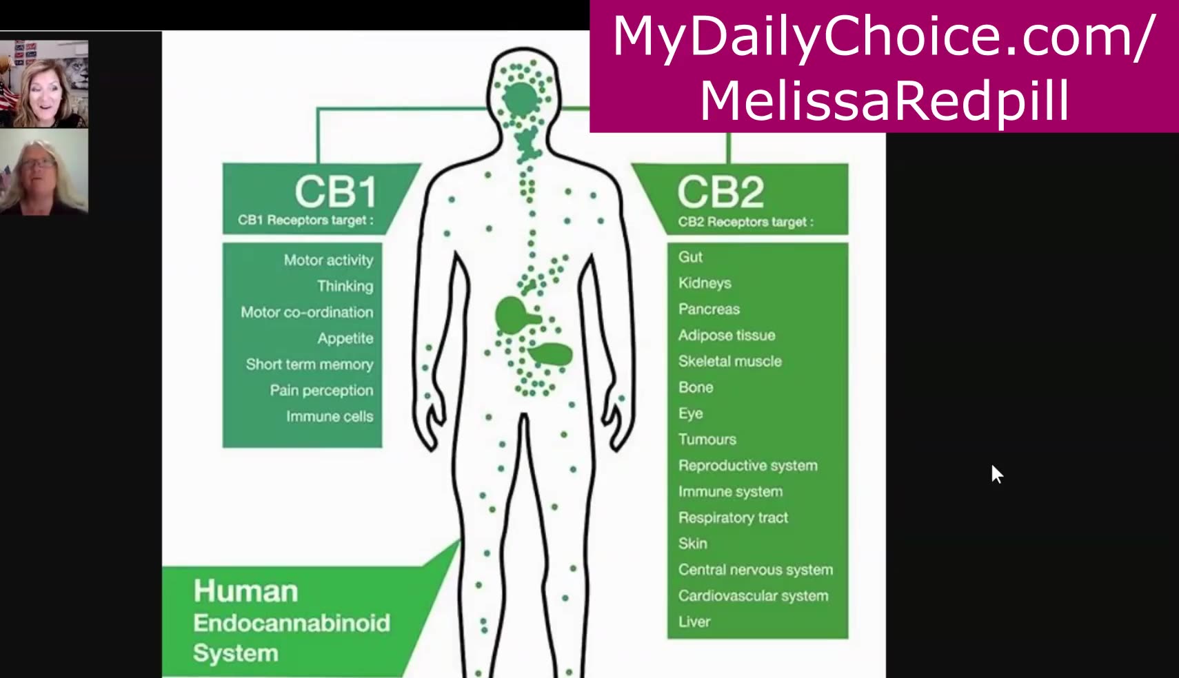 A DOCTOR EXPLAINS HOW CB1 AND CB2 HELP OUR BODIES AND MINDS STAY HEALTHY