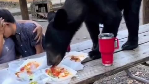 THE UNIVITED MEMBER ENJOYING HIS MEAL