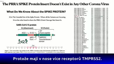 Dr Richard M Fleming PhD, confirms the presence of HIV in the spike protein