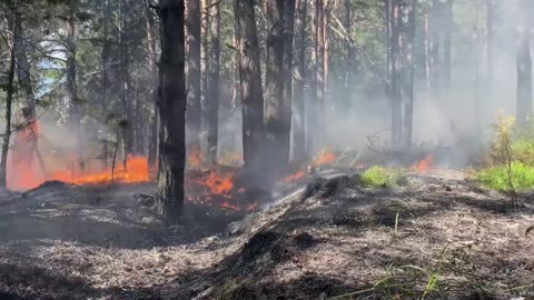 Are Wildfires Getting Worse? – We Asked a NASA Scientist