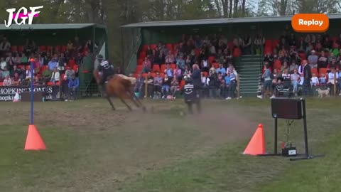 Horse boarding - The latest extreme sports craze