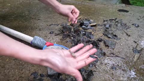 Baby Snapping Turtle vs Crayfish15