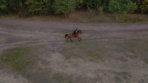 Aerial view of woman riding a brown horse by gallop outdoors