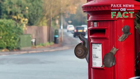 Fake news or fact_ Snails eat mail