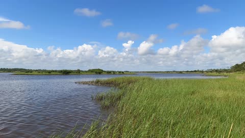 Shell Mound Cedar Key Fl