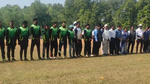 Local cricket tournament (indian Village)