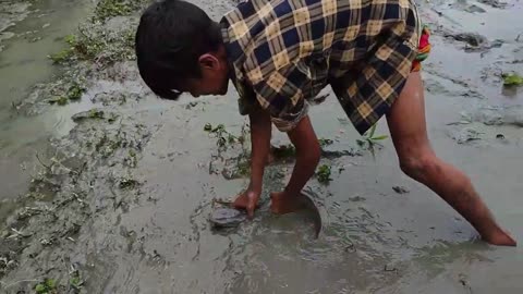 Lots Of Fish Here two Smart boy catching fish Fishing Chapter