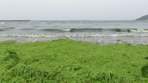 津屋崎海水浴場 2020