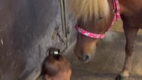 2-Year-Old Shares Fruit With Pony