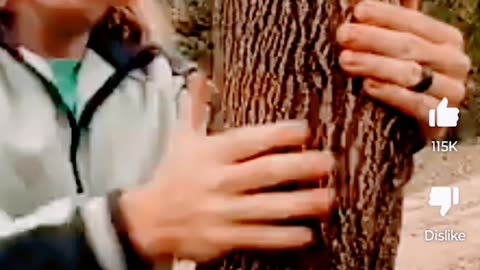 TREE MASSAGE ASMR