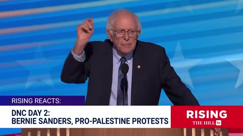 Bernie Sanders Demands CEASE-FIRE NOW, Pro-Palestine Protesters DISRUPT DNC