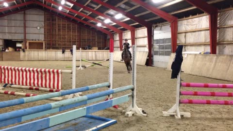 Fall During A Horse Jumping Lesson