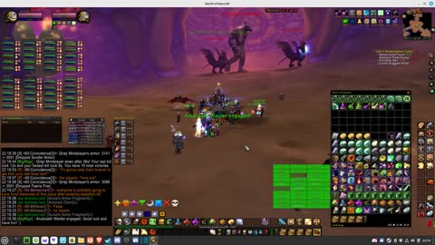 Turtle Wow - MM weekly AQ40 - 17 September - paladin POV