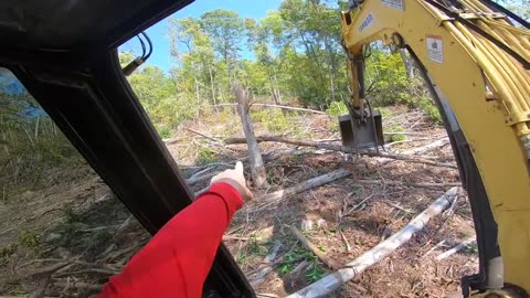 How to break trees with an excavator