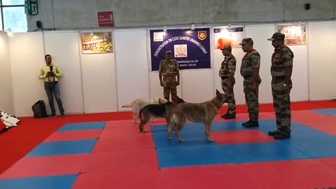 Dog training for cisf