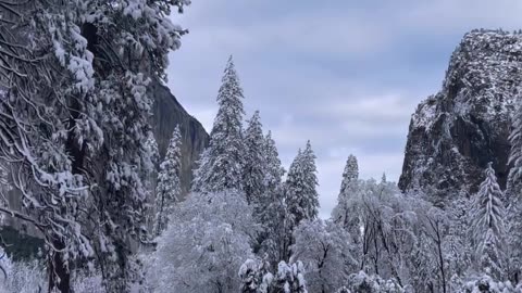 Yosemite Nationa Park 📍❄️