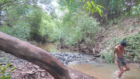 Jungle Cooking Adventure: How To Cook The Best Wild Chicken Recipe