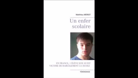 Un enfer scolaire - Matthieu Meriot