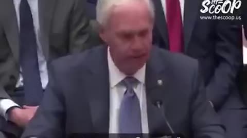 Senator Ron Johnson Testifying That Obama Weaponized The IRS Against Conservative Groups