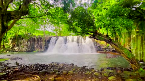 Discover Mauritius 8K Video Ultra HD 240 FPS ● Island Of Emotion 🏞