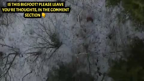 BIGFOOT/SASQUATCH SIGHTING, AMAZING AERIAL DRONE FOOTAGE!!!